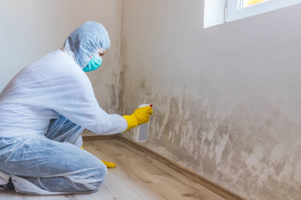 Crawl Space Mold Remediation treatment of floor joists in Warrenton